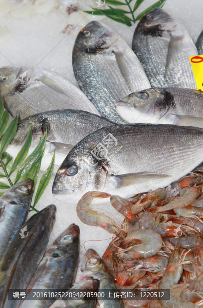 新鮮的魚