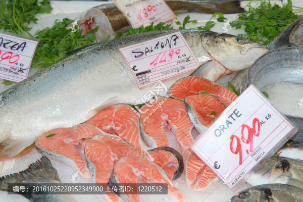 魚(yú)