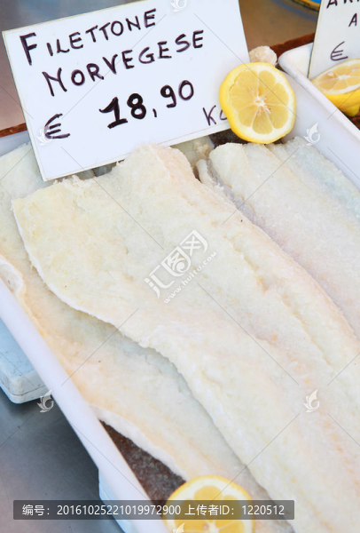 鱈魚