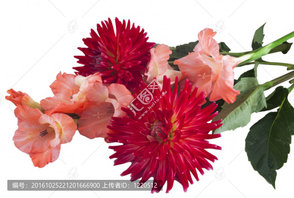 花束