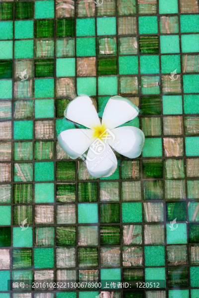 浮花。