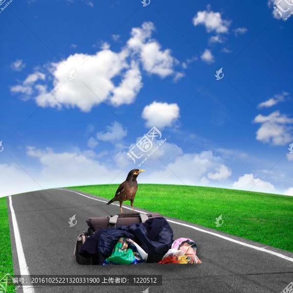 道路與綠地