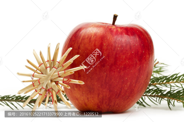 紅蘋果，白色背景上的樹枝