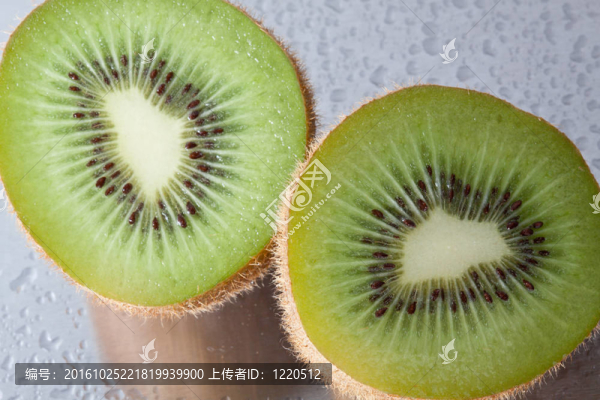 幾維鳥