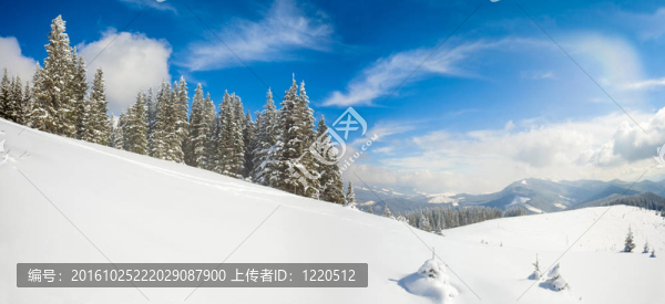冬天的山地景觀