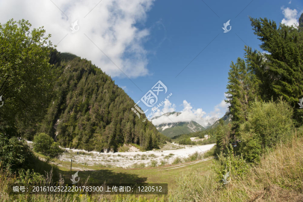 Dolomites,Woods；意大利