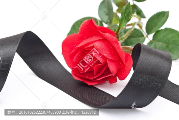 紅玫瑰與黑絲帶