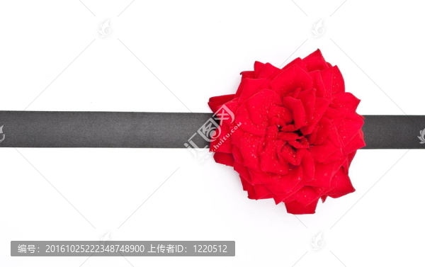 紅玫瑰與黑絲帶