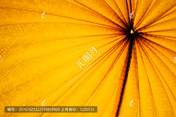 中國的紙燈籠
