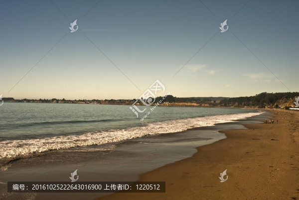 圣克魯斯海岸觀