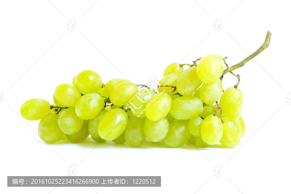 葡萄