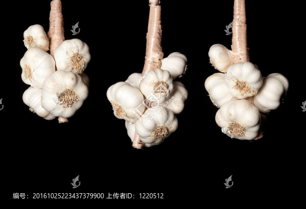 萬圣節(jié)的大蒜