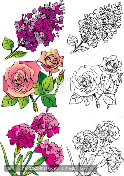 Flowers。