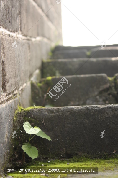 中國的長城