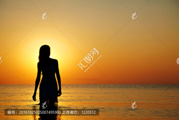 在夕陽的剪影