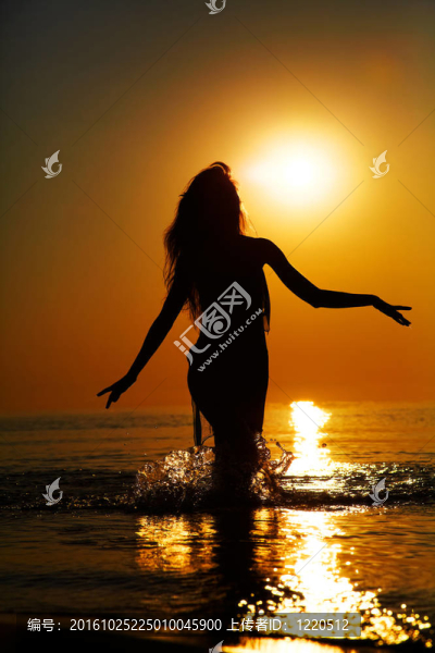 在夕陽的剪影