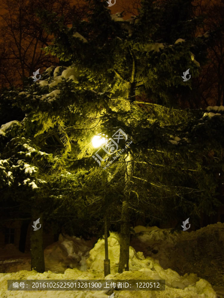 夜晚；路燈；綠雪