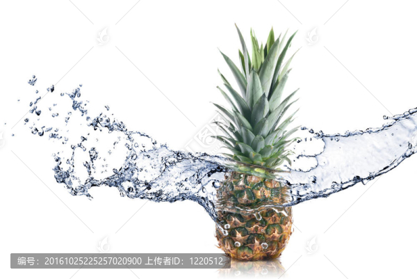 水上白色的菠蘿