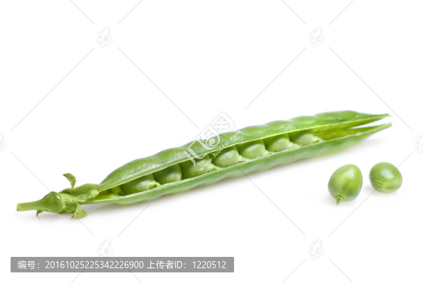 白色豌豆