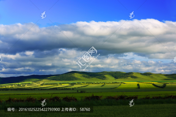 田野山景
