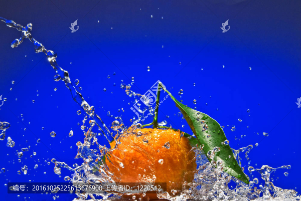 Tangerine夜店有綠色的葉子和藍色背景上的水濺