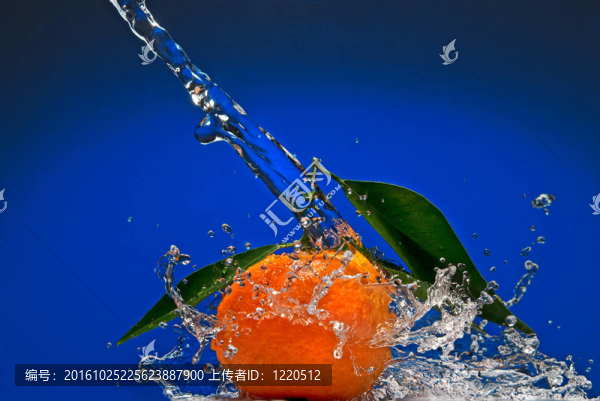 Tangerine夜店有綠色的葉子和藍(lán)色背景上的水濺