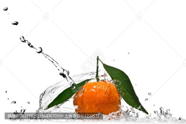 Tangerine夜店有綠色的葉子濺白色隔離和水
