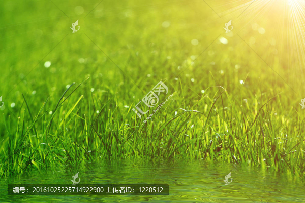 草綠色的背景