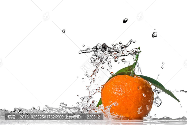 Tangerine夜店有綠色的葉子濺白色隔離和水