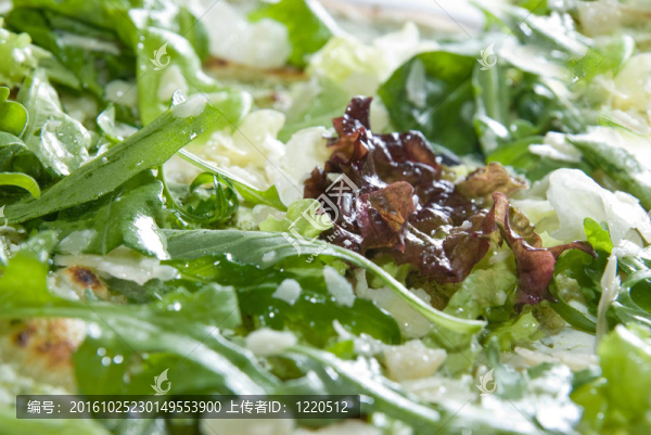 意大利比薩奶酪野菜和宏觀照片