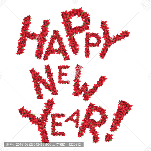 新年祝福，紅色圣誕花，白色