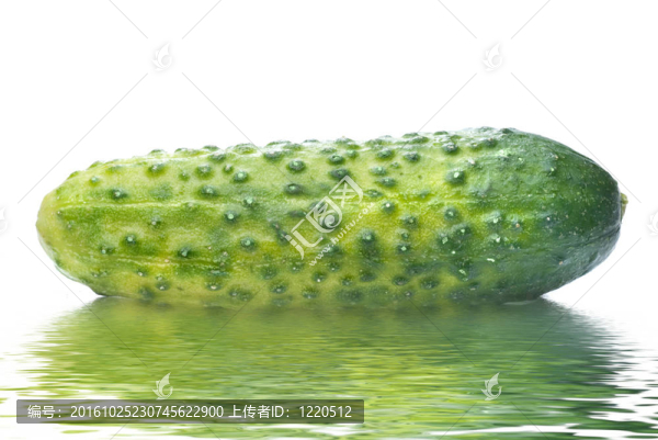 綠黃瓜與白水隔離