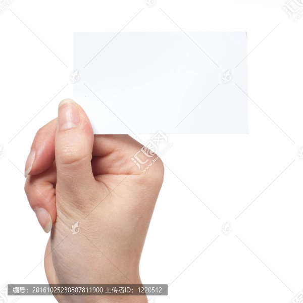 女子手持空名片上的白色隔離卡