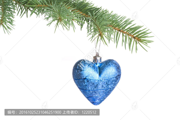 圣誕樹上的杉樹樹枝上白色的隔離