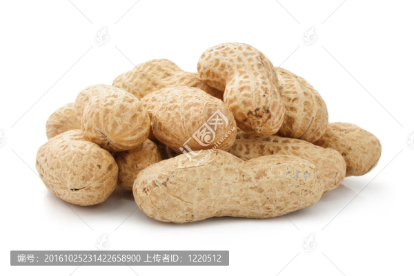 花生果干豆分離