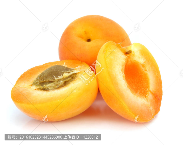 三鮮杏果實(shí)