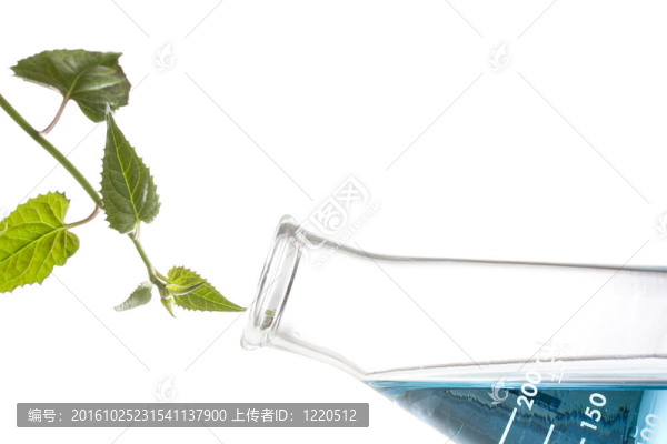 生物化學