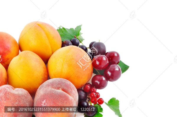 白色背景上的水果和漿果