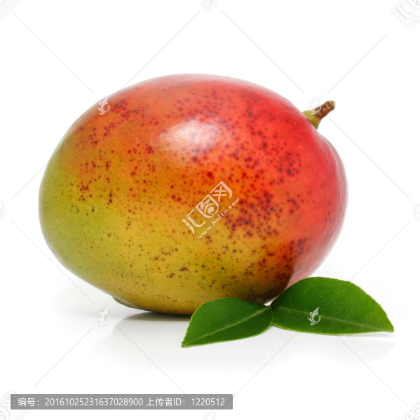 新鮮芒果和綠色的葉子中分離