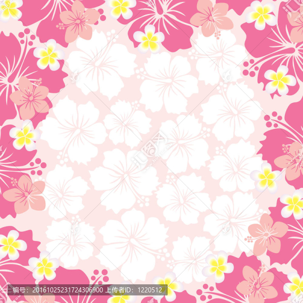 芙蓉框架