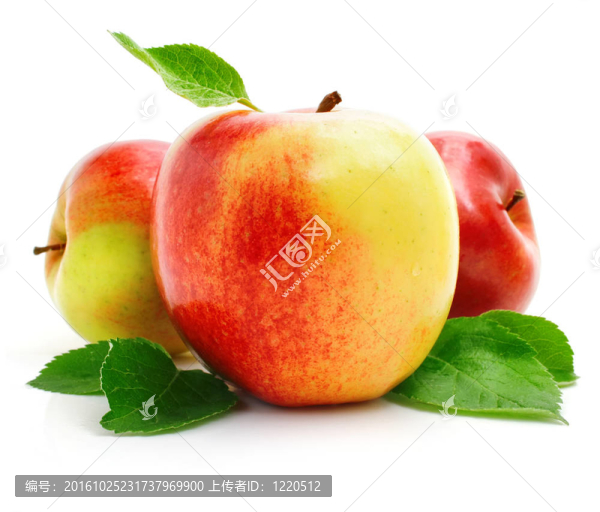 綠葉紅蘋果果實