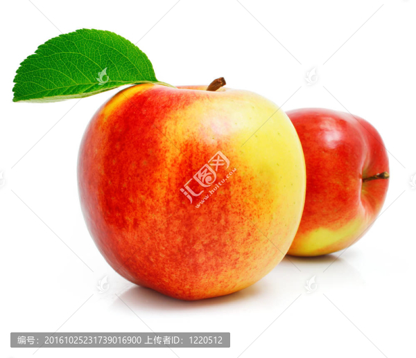 綠葉紅蘋果果實(shí)