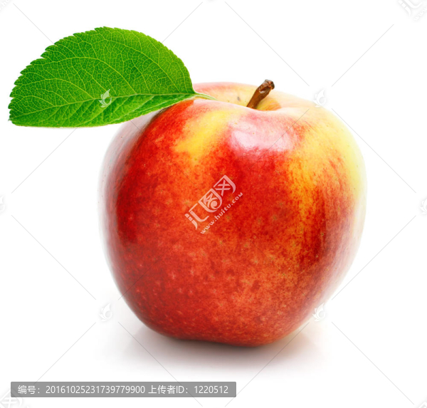 綠葉紅蘋果果實