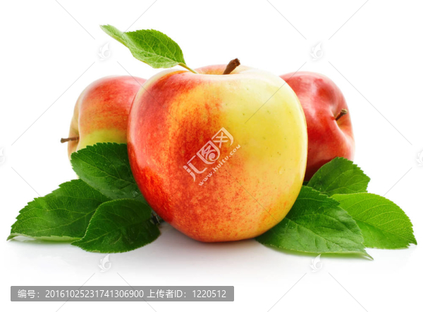 綠葉紅蘋果果實(shí)