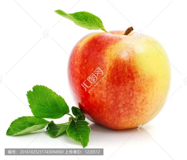 綠葉紅蘋(píng)果果實(shí)