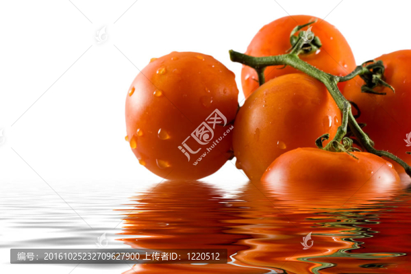 水中的一束西紅柿