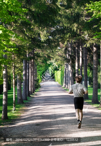 運(yùn)動員在公園里跑步