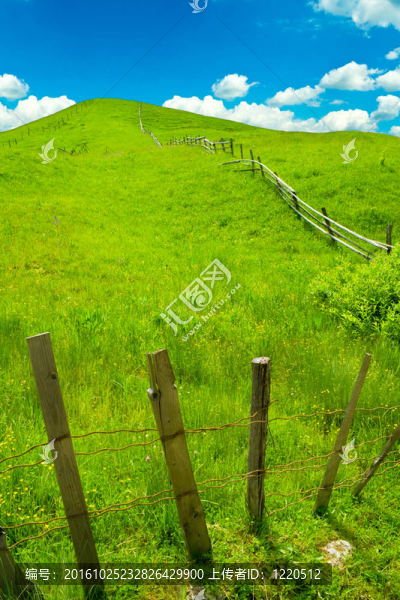 綠色的小山和藍(lán)色的天空