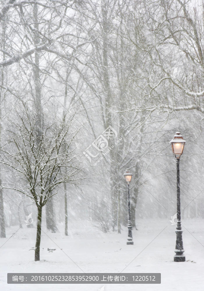 雪中的街燈