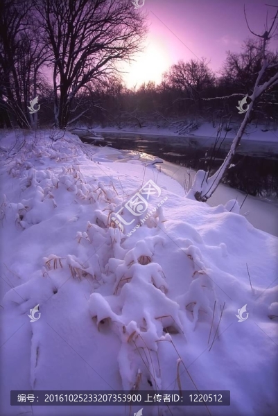 伊利諾斯鮮降雪